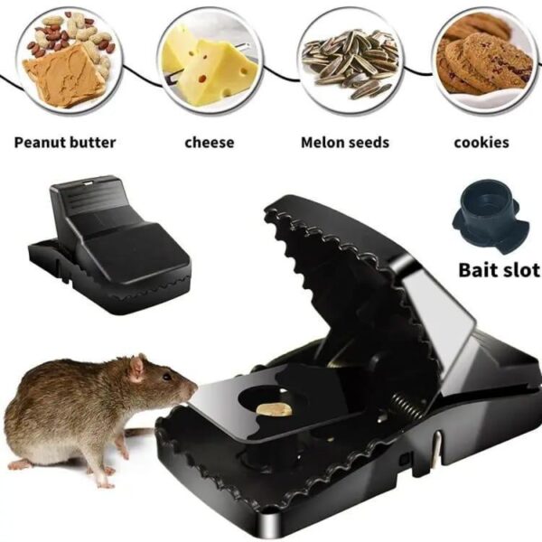 plastic mouse trap