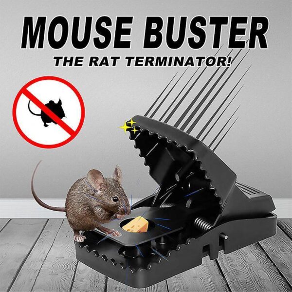plastic mouse trap