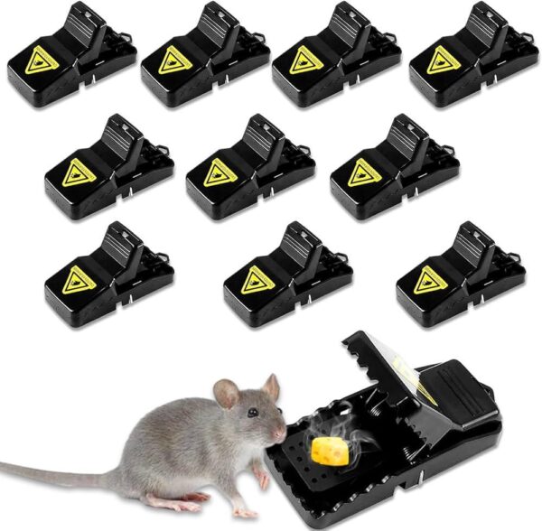 plastic mouse trap